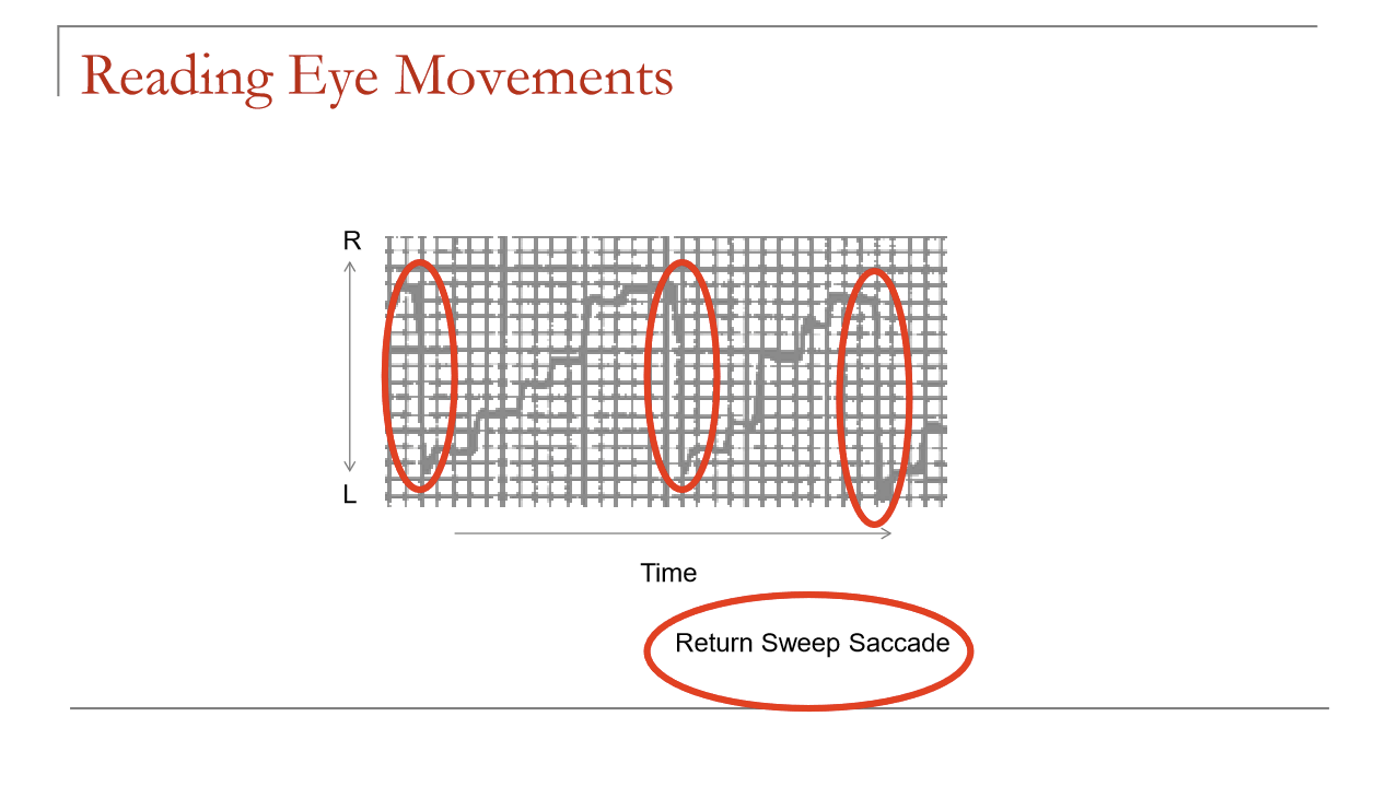 <ul><li><p>Often undershoot the intended target</p></li><li><p>Requires corrective saccades to reach optimal fixation</p></li><li><p>Reflects limits in long-range saccadic accuracy</p></li></ul><p></p>