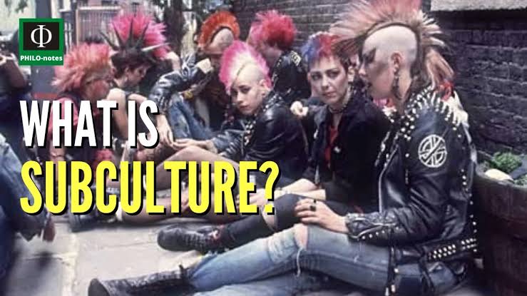 <p>1 : a distinct cultural group within a larger society with its own beliefs, behavior, and interests</p><p class="is-empty is-editor-empty has-focus">• Collocations: Youth subculture, underground subculture, drug subculture, gaming subculture</p><p class="is-empty is-editor-empty has-focus">• Examples:</p><p class="is-empty is-editor-empty has-focus">Youth subcultures often create their own unique fashion styles and slang.</p><p class="is-empty is-editor-empty has-focus">The drug subculture of the inner city presents major social and health problems.</p><p class="is-empty is-editor-empty has-focus">The gaming subculture has grown into a massive global community over the years.</p><p class="is-empty is-editor-empty has-focus">Hippies formed a prominent subculture during the 1960s.</p><p class="is-empty is-editor-empty has-focus">Anime fans have built a rich online subculture centered around artwork and discussion.</p><p class="is-empty is-editor-empty has-focus">(Нийгмийн тодорхой дэд соёл, тусгай бүлгийн соёл ба зан үйл)</p>