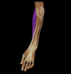 <p>Identify the structure</p>