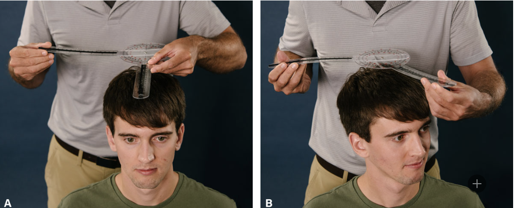 <p>Neck Rotation</p>