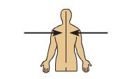 <p>means nearer to the midline of the body</p>