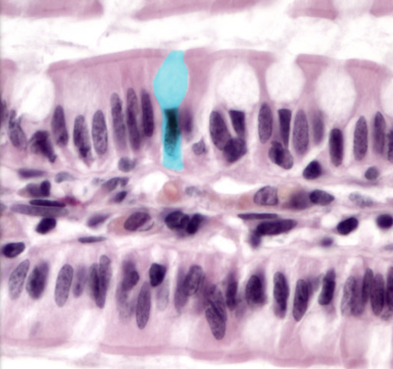 <p>What is highlighted</p>