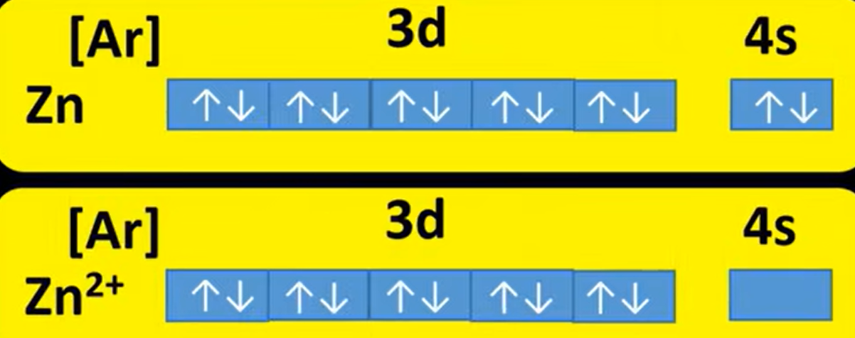 <ul><li><p>It only forms 1 stable ion of Zn<sup>2+</sup></p></li><li><p>Zn<sup>2+</sup> has a full d-subshell (1s<sup>2</sup>2s<sup>2</sup>2p<sup>6</sup>3s<sup>2</sup>3p<sup>6</sup>4s<sup>0</sup>3d<sup>10</sup>), so is not partially filled</p></li></ul><p></p>
