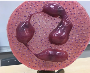 <p>What is this?</p>