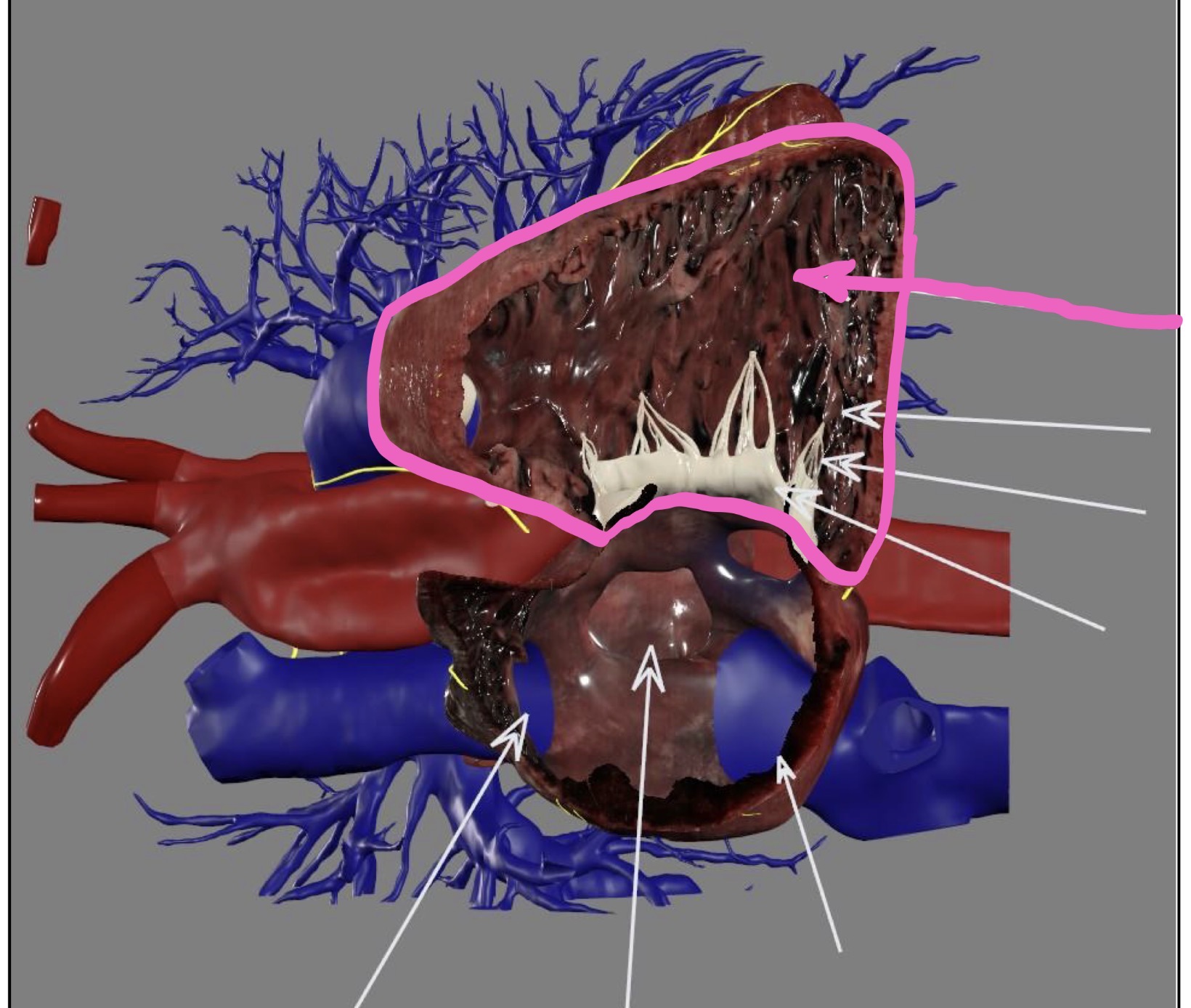 <p>What’s the highlighted area?</p>