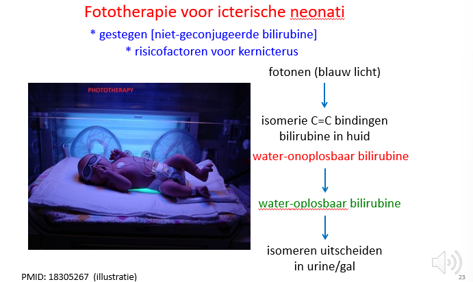 <p><span>De strategie die vandaag de dag toegepast wordt (zeker bij pasgeborenen) is dat ze onder de lamp gelegd worden.</span></p><p style="text-align: left;"></p><p style="text-align: left;"><span>Aan veel moeders wordt ook gevraagd hun kind aan het raam te leggen, waar ze blootstelling hebben aan blauw licht (zoals we ook hier gebruiken in de couveuses).</span></p><p style="text-align: left;"><span>Zo kan de bilirubine sneller afgebroken worden dan via glucuronidatie en excretie.</span></p><p style="text-align: left;"></p><p style="text-align: left;"><span>Als bilirubine dus in de huid passeert en er blauw licht tegenkomt worden de bindingen daar verandert en wordt het meer wateroplosbaar en zal het wel excreteerbaar zijn in de gal en urine.</span></p><p style="text-align: left;"></p><p style="text-align: left;"><span>De kinderen moeten dus meerdere uren per dag onder zo’n lamp liggen.</span></p><p style="text-align: left;"><span>Naarmate ze ouder worden zal de huid verdikken en moeten ze steeds langer onder de blauwe lamp gaan liggen.</span></p><p style="text-align: left;"><span>Tekenwoordig zijn er zelfs een soort bedrijven die van die jasjes maken met aan de binnenkant blauw licht.</span></p><p style="text-align: left;"><span>Die jasjes moet je dan dragen op je huid, zodat je de hele dag blauw licht produceert in je jasje en zo sneller bilirubine wateroplosbaar kunt maken zonder dat het moet passeren viahet glucuronyl transferase, want dat is defect.</span></p>