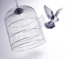 <p>звільняти, випускати</p>