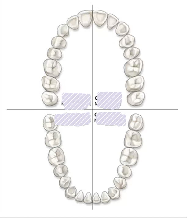 <p>Which quadrant is which?</p>