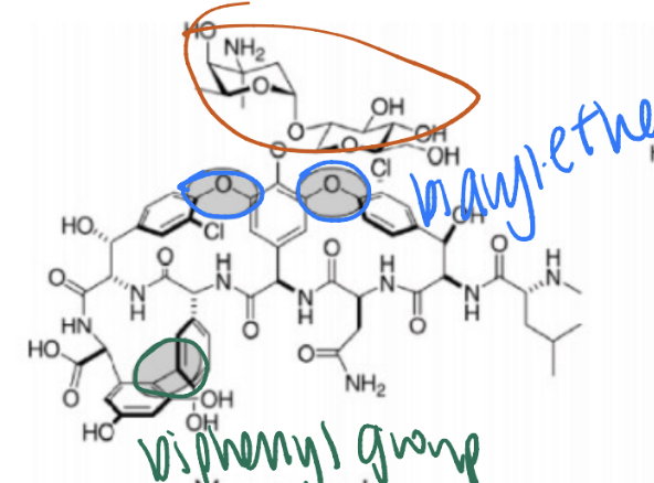 <p>Glycopeptides, forms 5 H-bonds with pentapeptide on gram POSITIVE stuff</p>