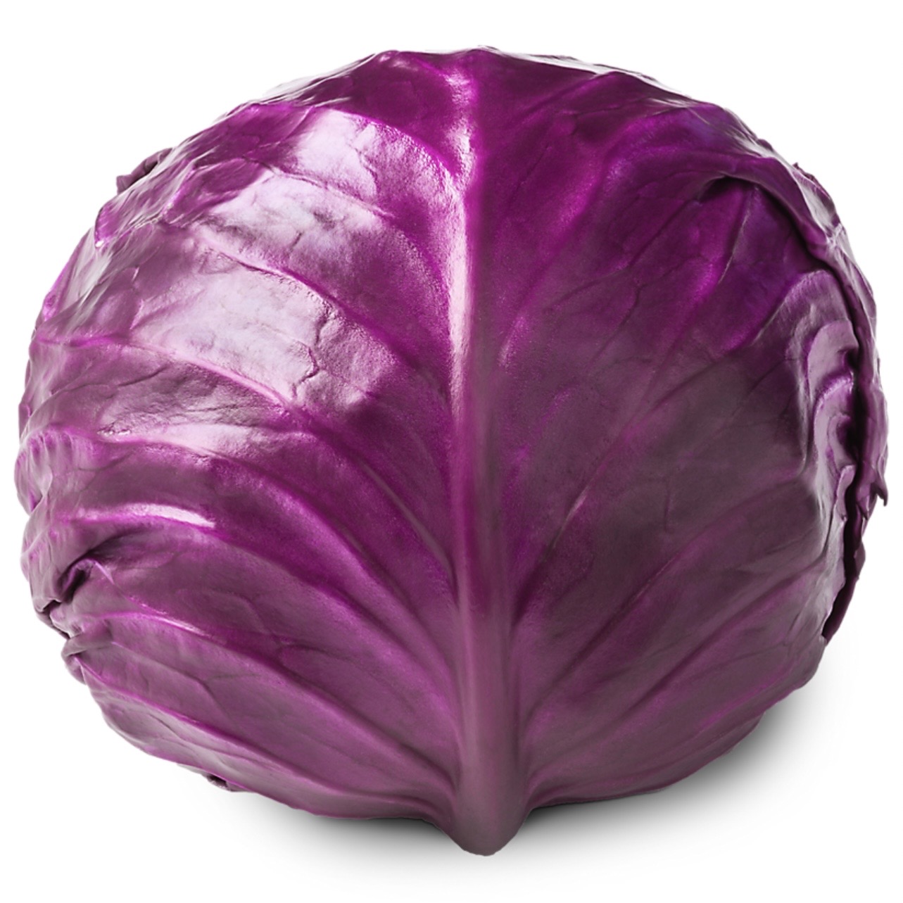 <p>Red cabbage</p>