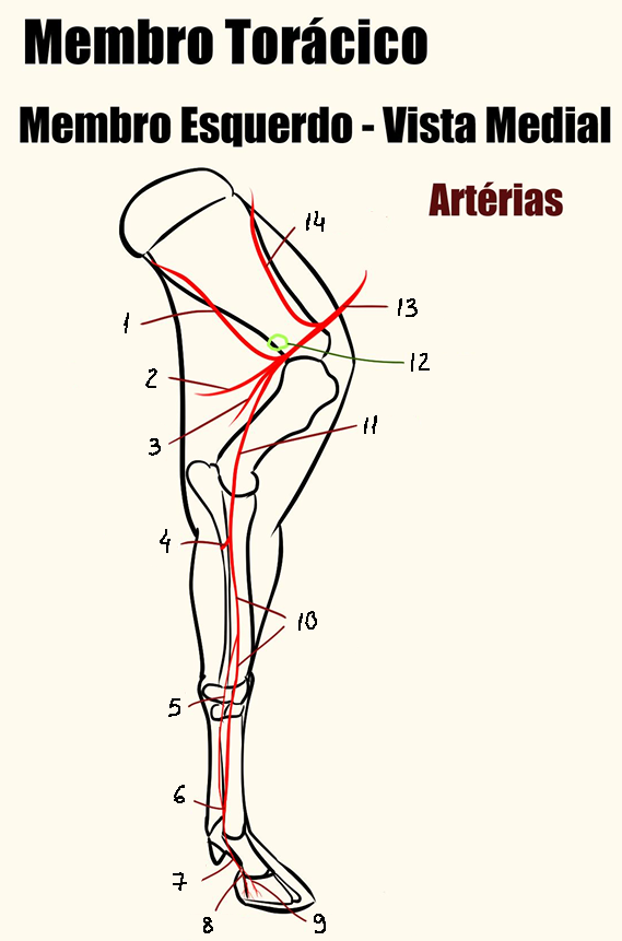 <p>3</p>