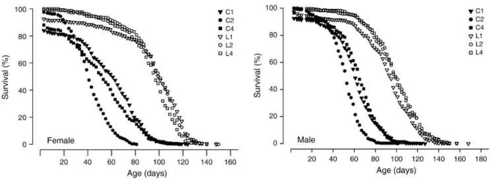<p>23. The figures below show the survivorship curves of female (left) and male (right) Drosophila of</p><p>different genetic lineages, grown under the same environmental conditions. Based on the data in</p><p>these figures, you can conclude that:</p><p>A. There is phenotypic variation in Drosophila survivorship.</p><p>B. There is phenotypic variation in Drosophila longevity.</p><p>C. Longevity in Drosophila is a trait that has evolved by natural selection.</p><p>D. All of the above are correct.</p><p>E. Only A and B are correct.</p>