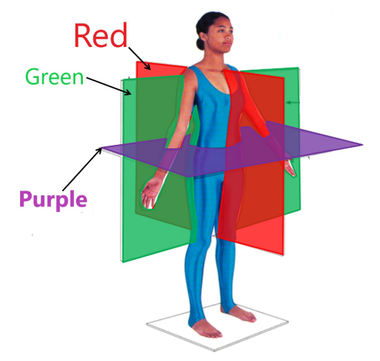 <p>What is Frontal Plane?</p>