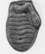 <p>What is this an image of?</p>