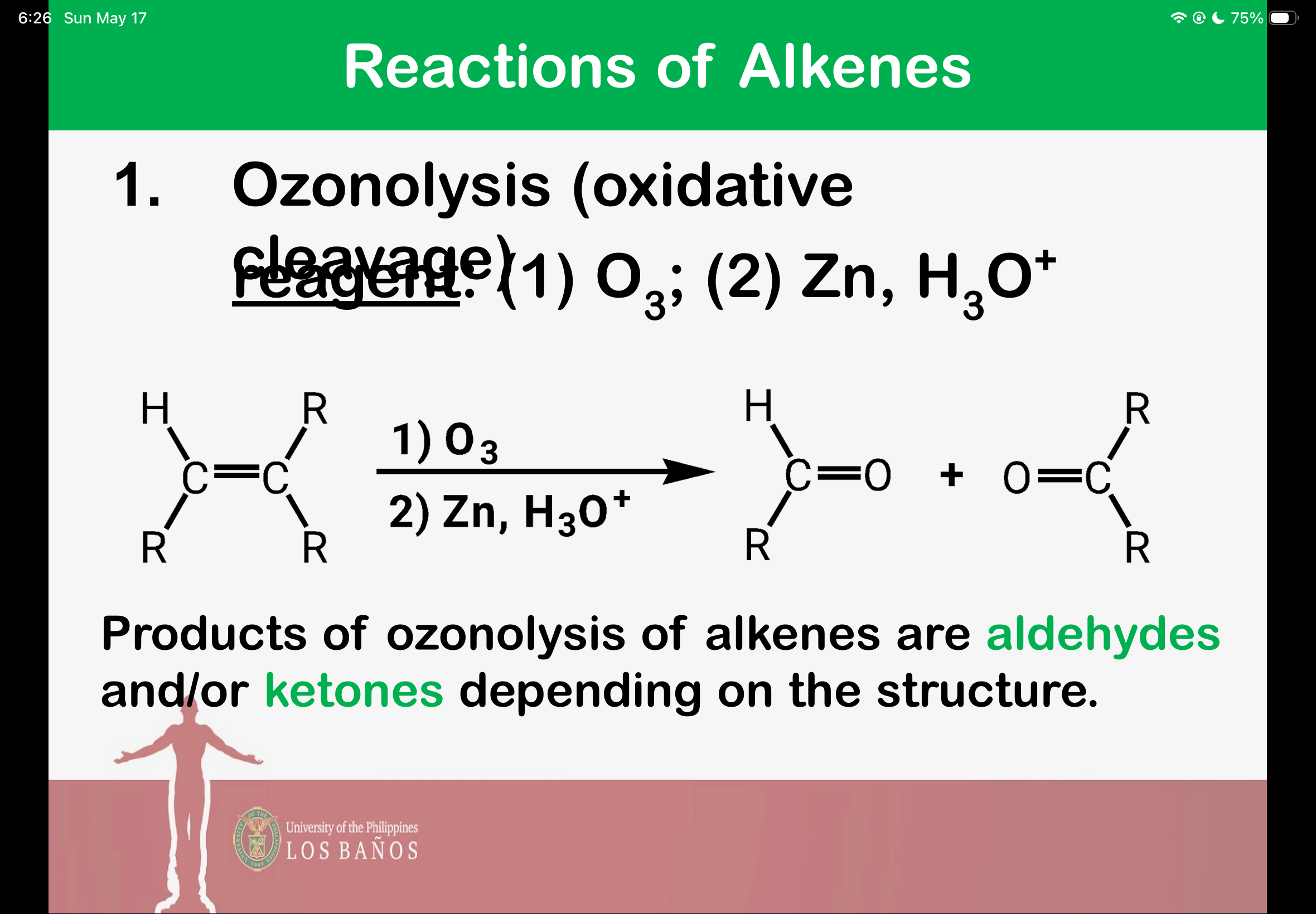 <p>oxidative cleavage</p>