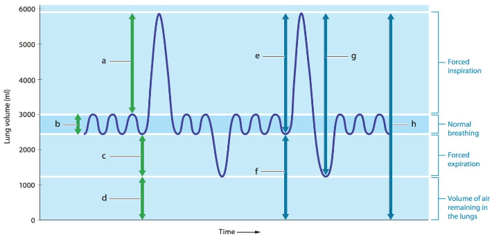 <p>E?</p>