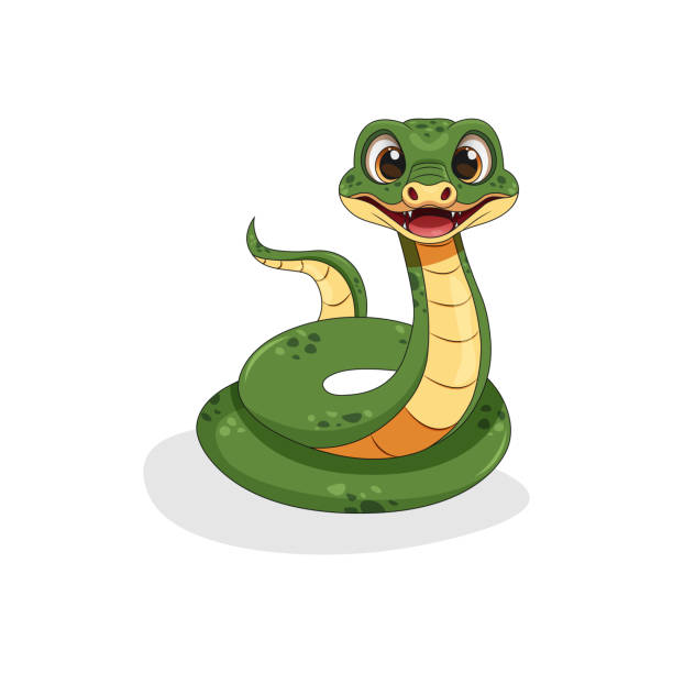<p>a snake</p>