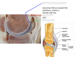<p>What is the blue arrow pointing to?</p>