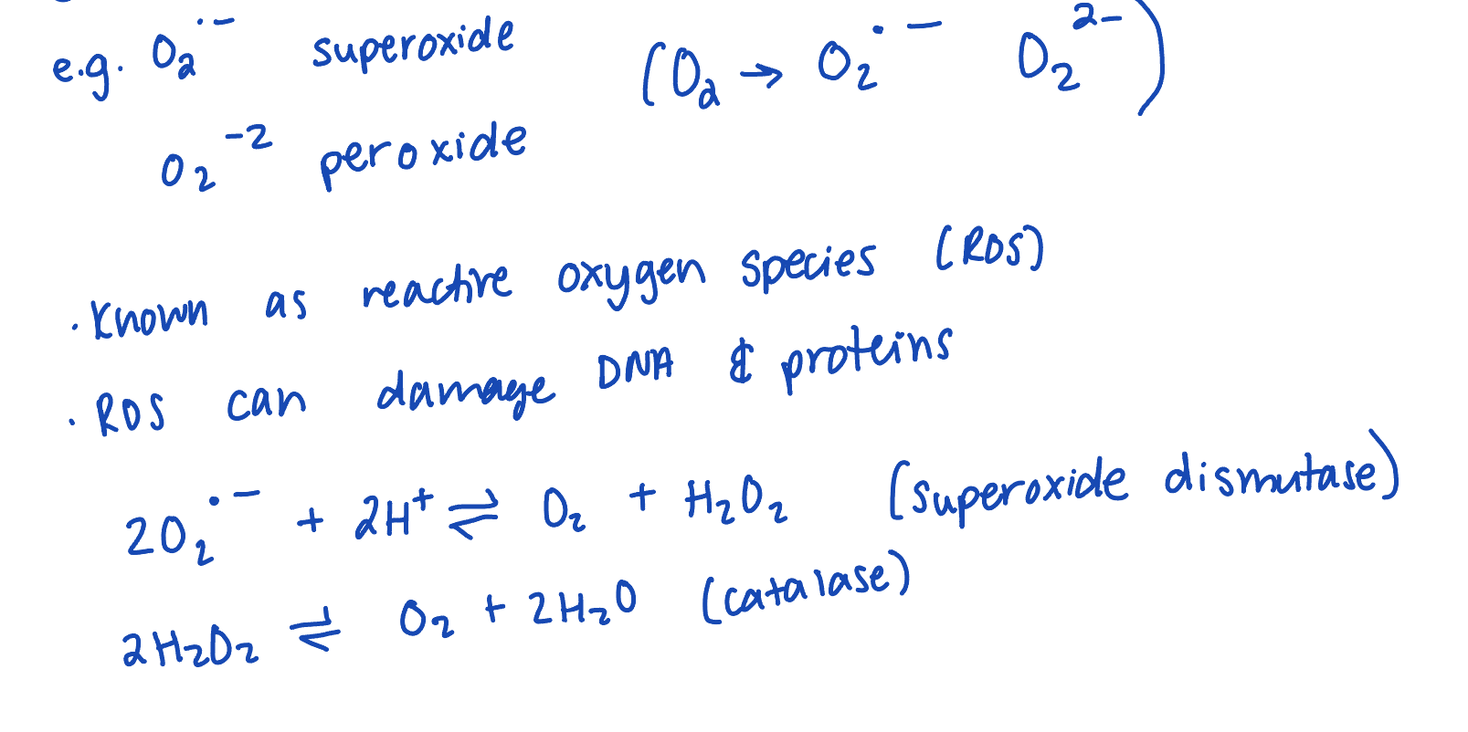 <ul><li><p>CIV is designed to prevent the release of partially reduced O2 </p></li></ul><p></p>