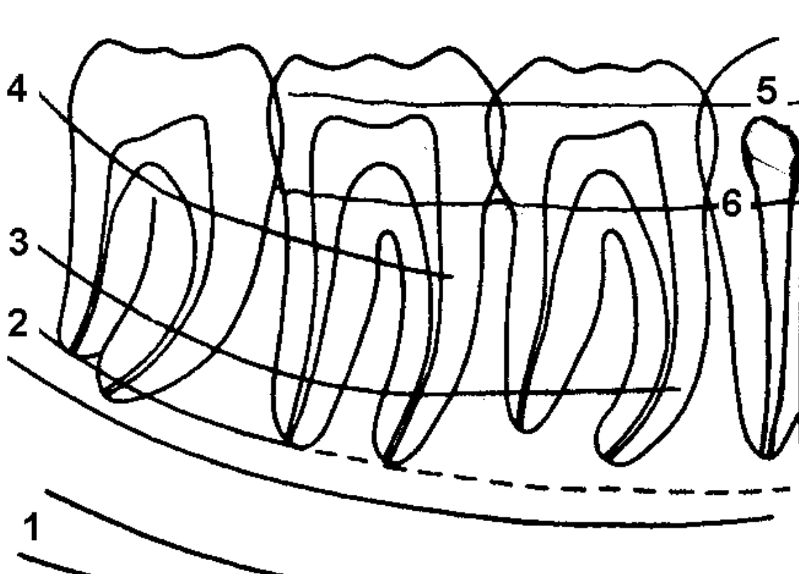 <p>Hvad viser 2?</p>