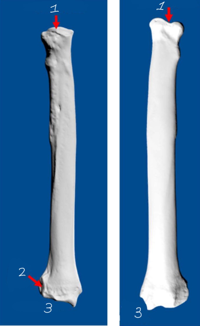 <p>1</p>