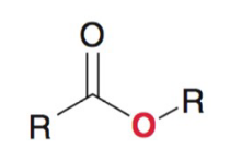 <p>Baeyer-Villiger Oxidation - An oxygen is inserted into an</p><p>aldehyde/ketone between a carbonyl carbon and neighboring</p><p>alkyl group</p>