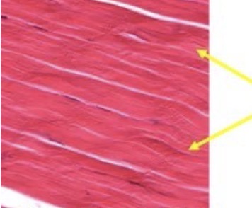 <p>?</p>