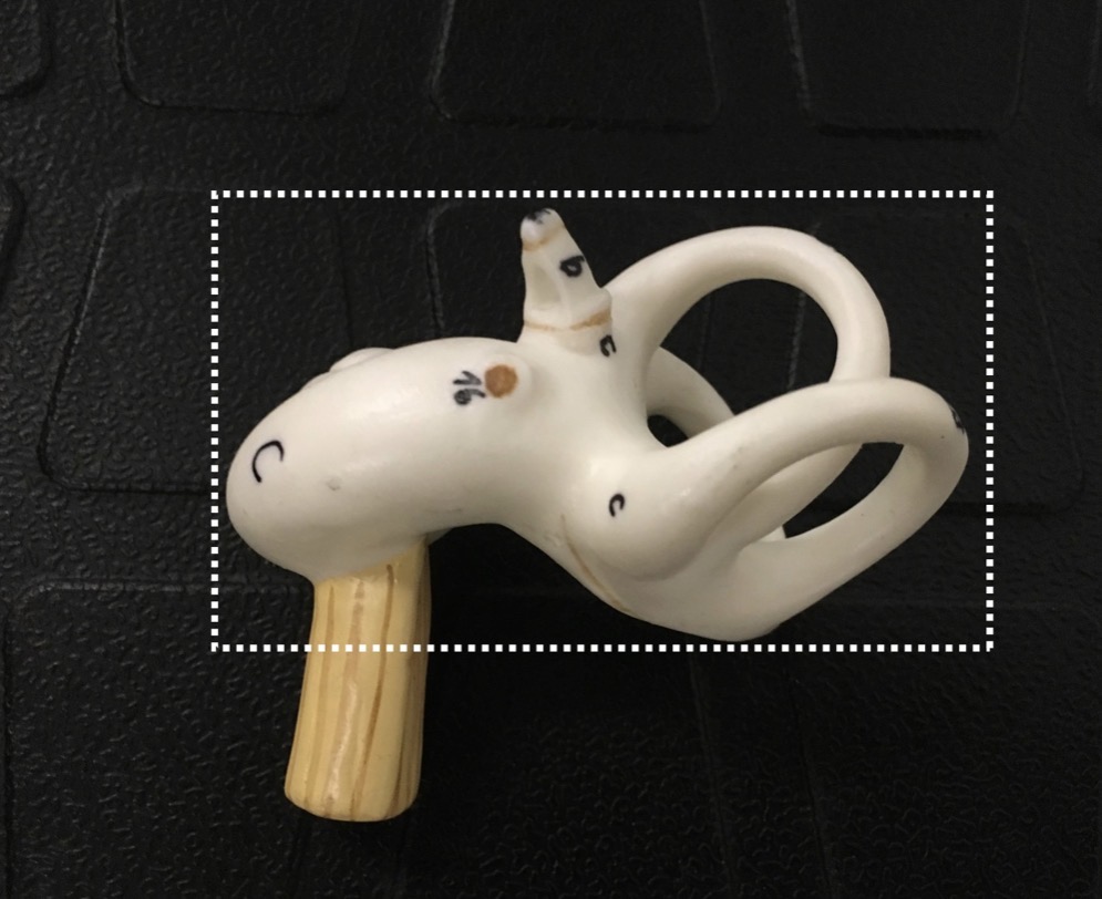 <p><span>name the region indicated</span></p>