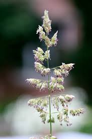 <p>Mis on pildil?</p>