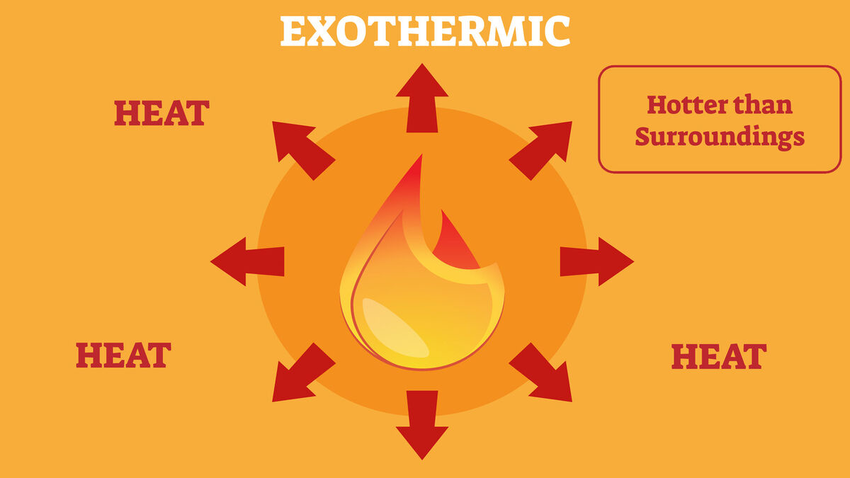 <ul><li><p>Reaction that releases heat</p></li></ul><p>Ex: Combustion</p>
