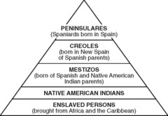 <p>System of racial categories that had legal and social consequences. It was the organizing principle of Spanish colonial rule.</p>