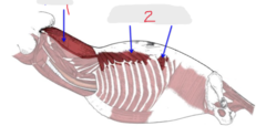 <p>What is 2?</p>
