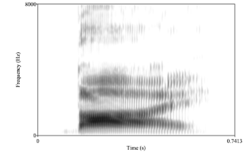 <p>bilabial edges of all formants point down </p>