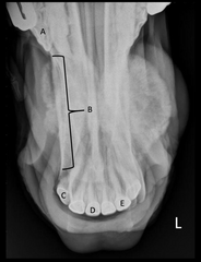 <p>What is D?</p>