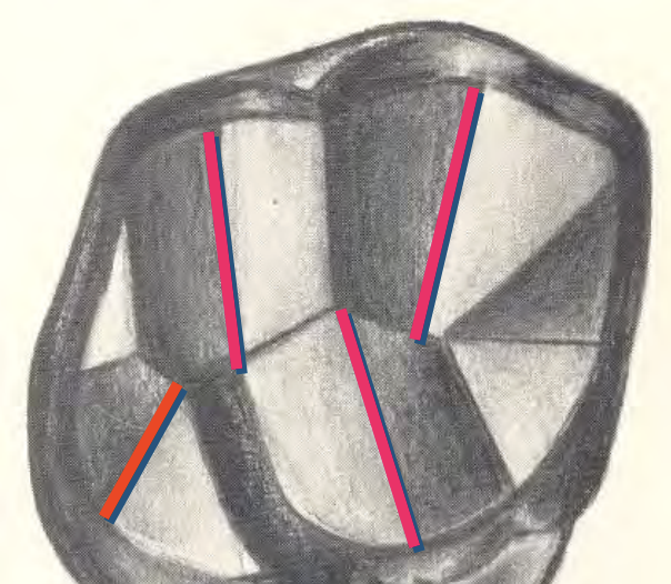 <p>Triangular Ridges</p>