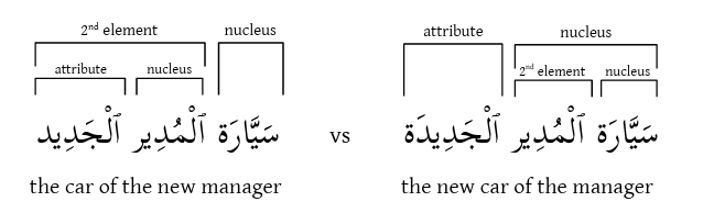 <ul><li><p>An idafah chain is formed in an hierarchical order </p></li><li><p>the first two nouns form a genitive construct (first unit) then the second joins to create a larger unit, in which the first unit is the second element of the genitive construct</p></li><li><p>Any single layer of hierarchy consists of two elements only, and each element may in turn be formed by smaller units joining each other </p></li><li><p>A noun-adjective unit can be one element of an idafah</p></li></ul><p></p>