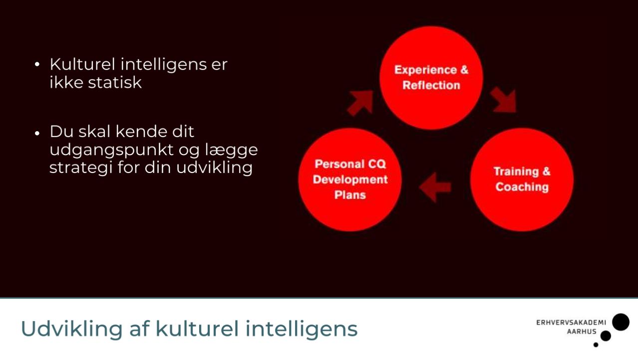 <p><strong>Experience & Reflection</strong> </p><p>→ Få erfaring med andre kulturer<br>→ Reflektér over:</p><p> </p><ul><li><p>hvad fungerede?</p></li><li><p>hvad gjorde ikke?</p></li></ul><p> </p><div data-type="horizontalRule"><hr></div><p> <strong>Training & Coaching</strong> </p><p>→ Lær gennem:</p><p> </p><ul><li><p>kurser</p></li><li><p>feedback</p></li><li><p>sparring</p></li></ul><p> </p><p>→ Justér din adfærd</p><p> </p><div data-type="horizontalRule"><hr></div><p> <strong>Personal CQ Development Plans</strong> </p><p>→ Lav en konkret plan:</p><p> </p><ul><li><p>hvad vil du forbedre?</p></li><li><p>hvordan vil du gøre det?</p></li></ul><p></p>