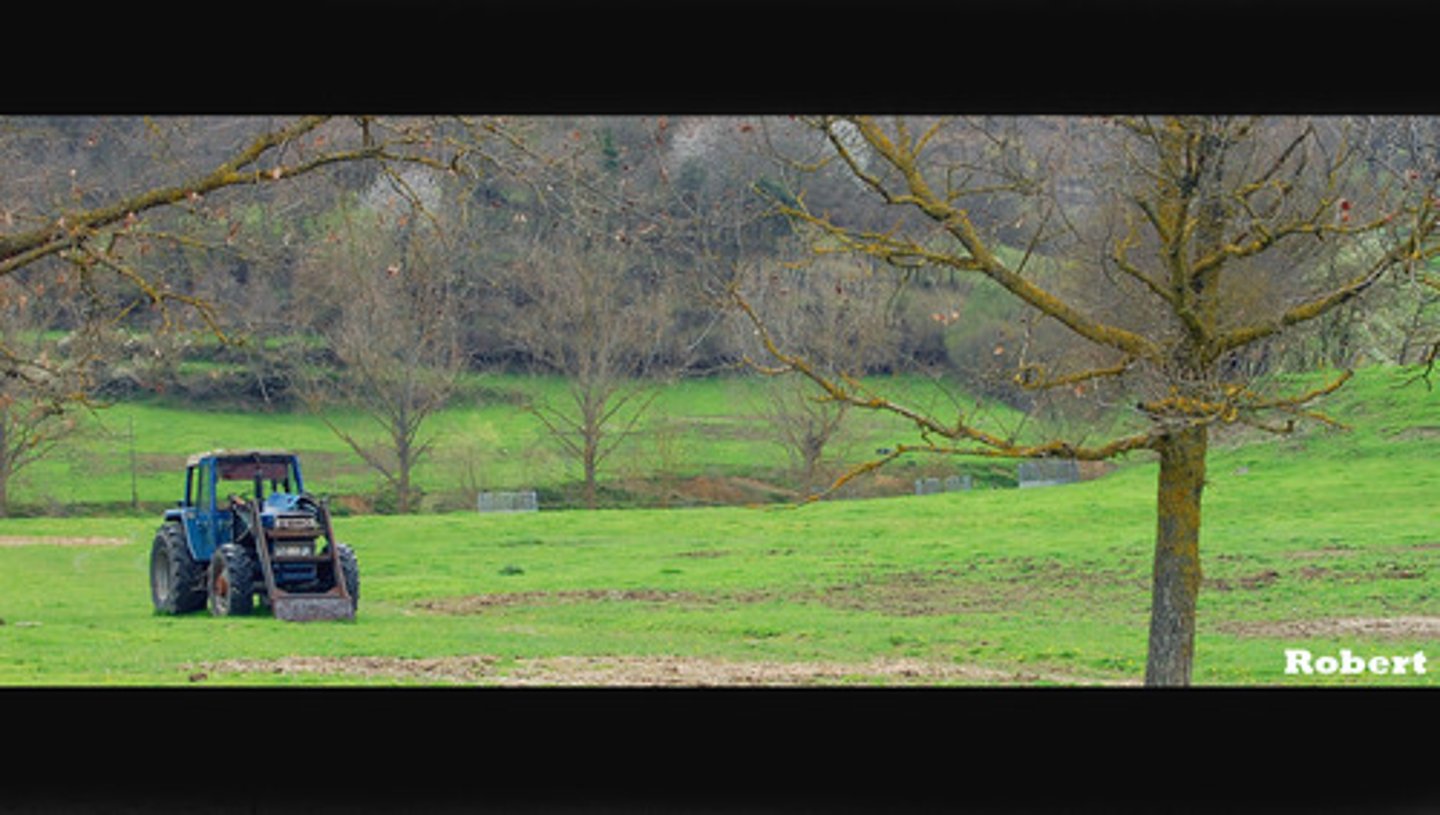 <p>countryside</p>