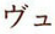 term image
