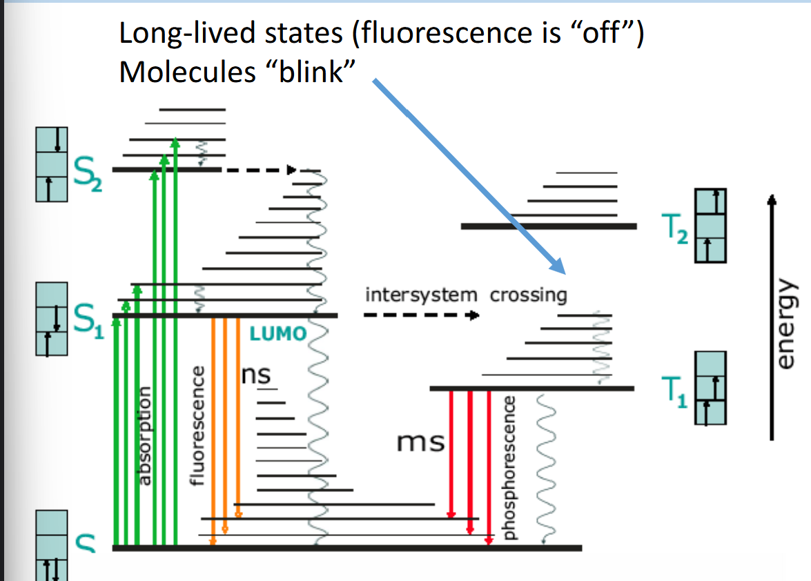 <p>Fluorescence:</p><ul><li><p>Absorption → singlet excited state S_1</p></li><li><p>Electron returns directly to GS S_0</p></li><li><p>Spin is conserved → transition allowed</p></li><li><p>Emission in ns</p></li><li><p>Stops immediately after pumping is off</p></li></ul><p>Phosphorescence:</p><ul><li><p>Absorption → S_1 → intersystem crossing to triplet state T_1</p></li><li><p>Spin flip makes return to GS quantum mechanically forbidden</p></li><li><p>Electron is stuck - Can only return slowly via a rare spin-flip event</p></li><li><p>Emission is very slow, ms to s to h. During this time “dark state“</p></li></ul><p>Hence if one fluorophore is continuously pumped, sometimes it get’s stuck in Triplet state and is in the dark state. So it’s blinking.</p><p></p>