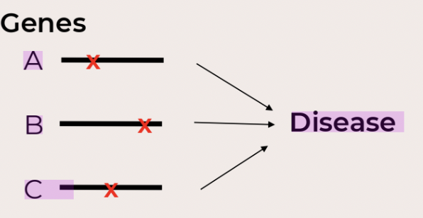 <p>Phenomenon where many genotypes (different genes) cause a specific/same phenotype. </p>