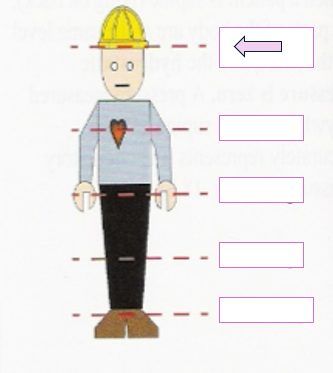 <p>When standing, the hydrostatic pressure at the indicated level is approximately ___mmHg</p>