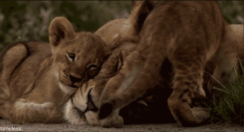 <p>a natural liking for and understanding of someone or something.</p>