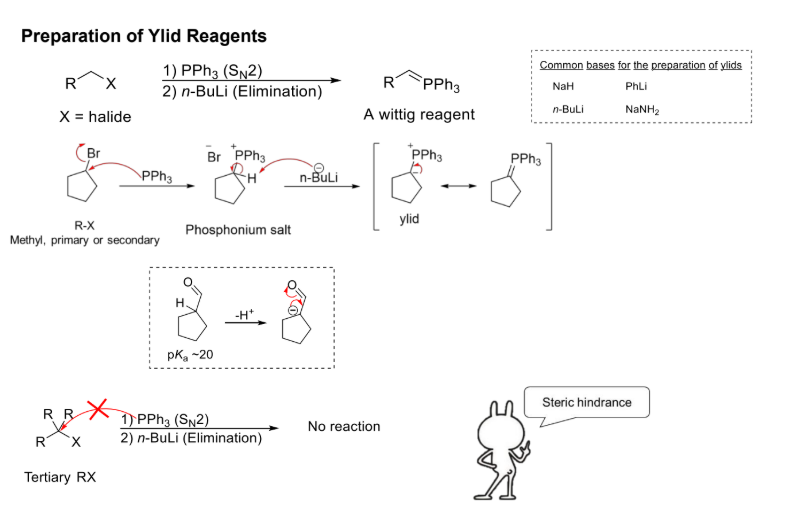 <p><strong><u>Reaction #3a) - ___________</u></strong></p><p>Common Bases: NaH, PhLi, n-BuLi, NaNH2 </p><ul><li><p><strong>R-X must be methyl, primary or secondary</strong><span style="color: green;"><strong> does not work with tertiary. (Steric hindrance)</strong></span></p></li></ul><p></p>