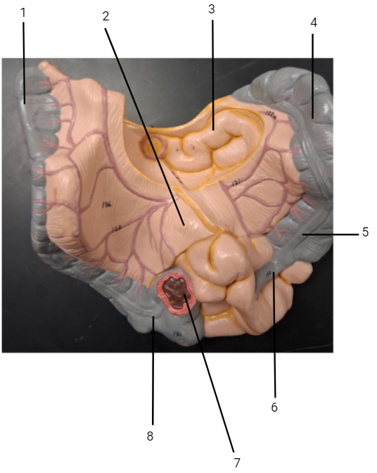 <p>2?</p>