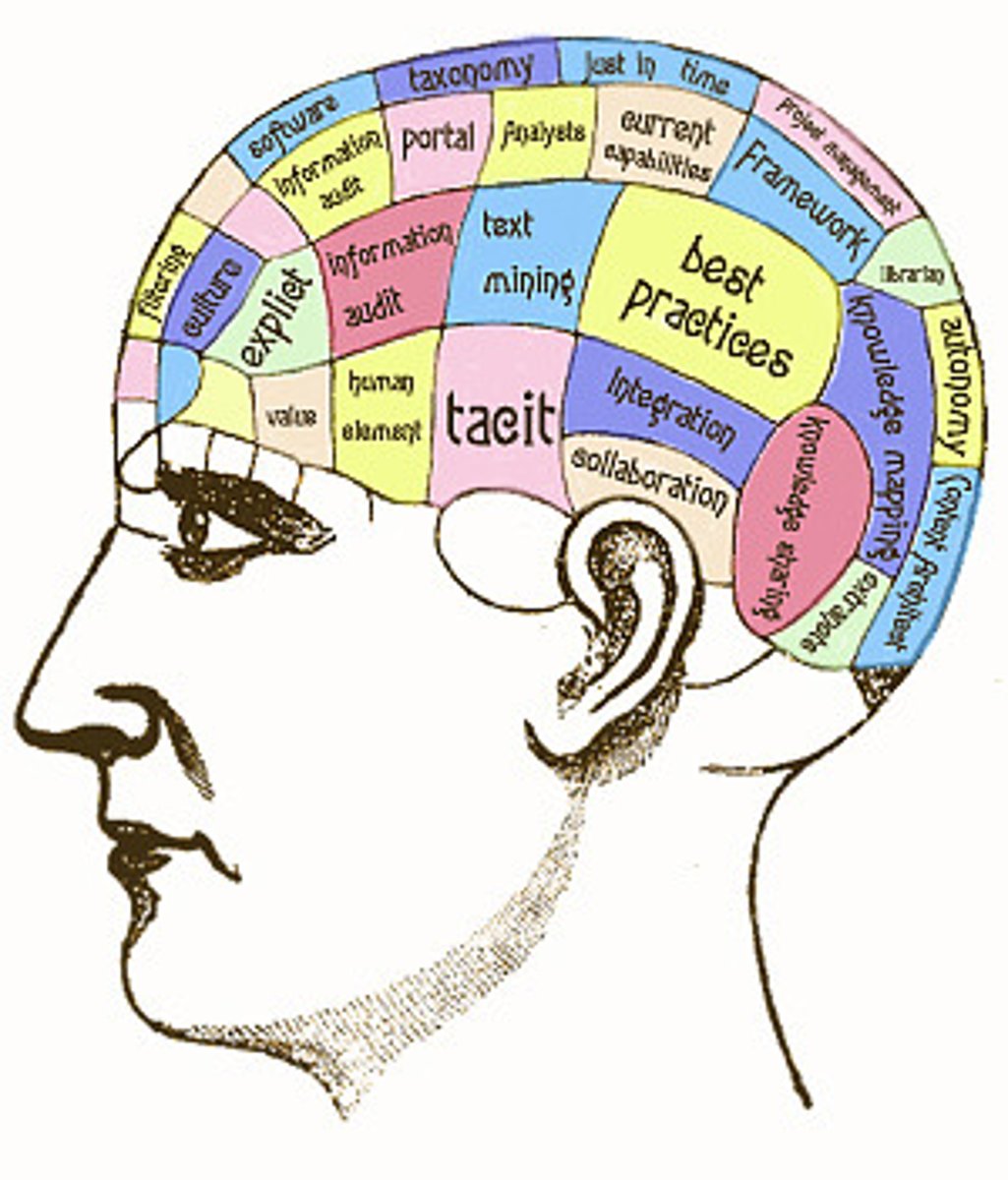 <p>skills; knowledge about a field</p>