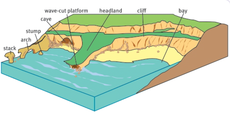 <ul><li><p>A Stack</p><ul><li><p>An isolated pillar of rock that has been separated from a headland by coastal erosion</p></li><li><p>It is formed by the collapse of an arch</p></li></ul></li><li><p>An Arch</p><ul><li><p>A natural bridge formed where a cliff is subjected to erosion by the sea</p></li></ul></li><li><p>A stump</p><ul><li><p>A low out crop of rock formed by the erosion of a coastal stack</p></li></ul></li><li><p>A Sea Cave</p><ul><li><p>A hollow opening in the base of the sea cliff formed by waves acting on weak parts of the rock</p></li></ul></li><li><p>A Wave Cut Platform</p><ul><li><p>A flat surface at the base of a sea cliff formed by wave erosion</p></li></ul></li><li><p>A Headland</p><ul><li><p>A narrow piece of land that projects from a coastline into the sea</p></li></ul></li></ul><ul><li><p>A Cliff</p><ul><li><p>A steep rock formed by wave erosion along costal landforms</p></li><li><p>Cliffs are formed by processes the start with the erosion of rock at the foot of the slope when it is acted on by powerful waves</p></li><li><p>This is called abrasion (The scraping or wearing away of rock by small stones when they rub against the rock)</p></li></ul></li><li><p>A Bay</p><ul><li><p>An area of the ocean, sea or lake enclosed by land but with a wide mouth that allows access to the sea</p></li></ul></li></ul><p></p>