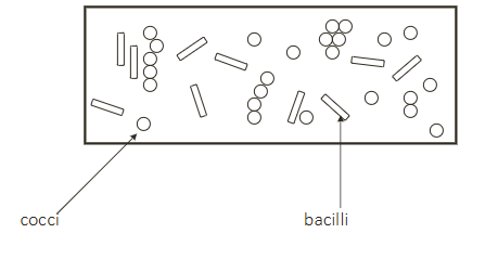 <p>DIAGRAM ON SLIDE 19</p>