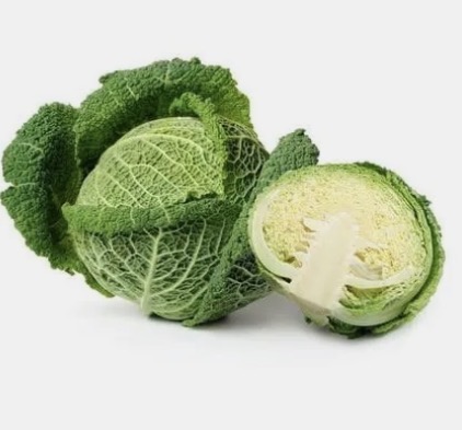 <p>Savoy cabbage</p>