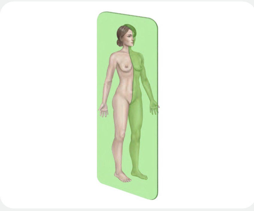 <p>Sagittal Plane</p>